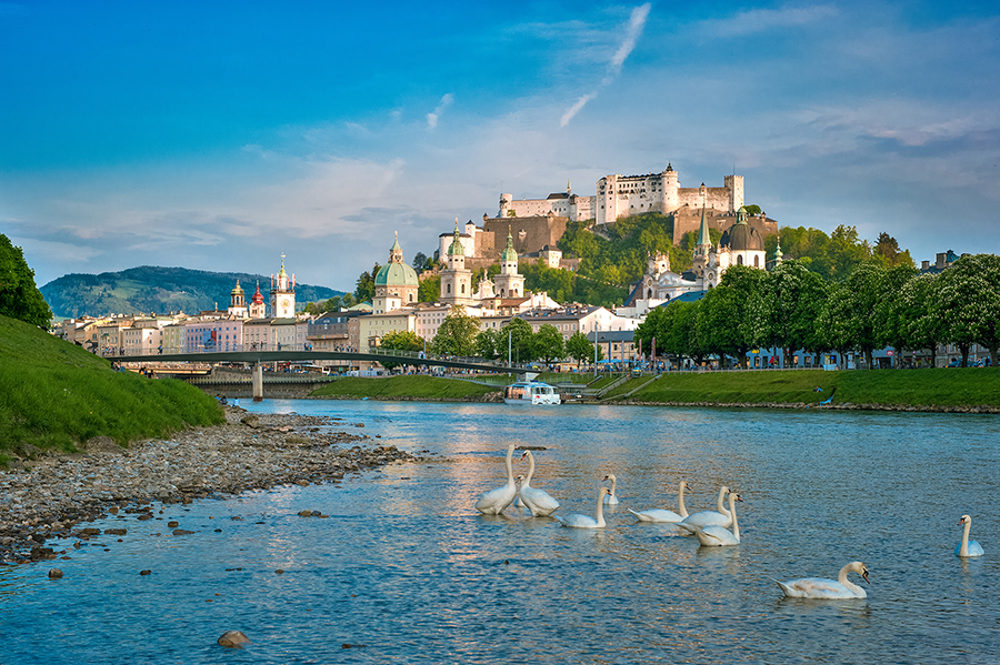 Salzach Schwaene FotoTourismus Salzburg Web